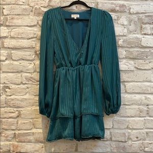 Privacy Please AkitaMini Dress